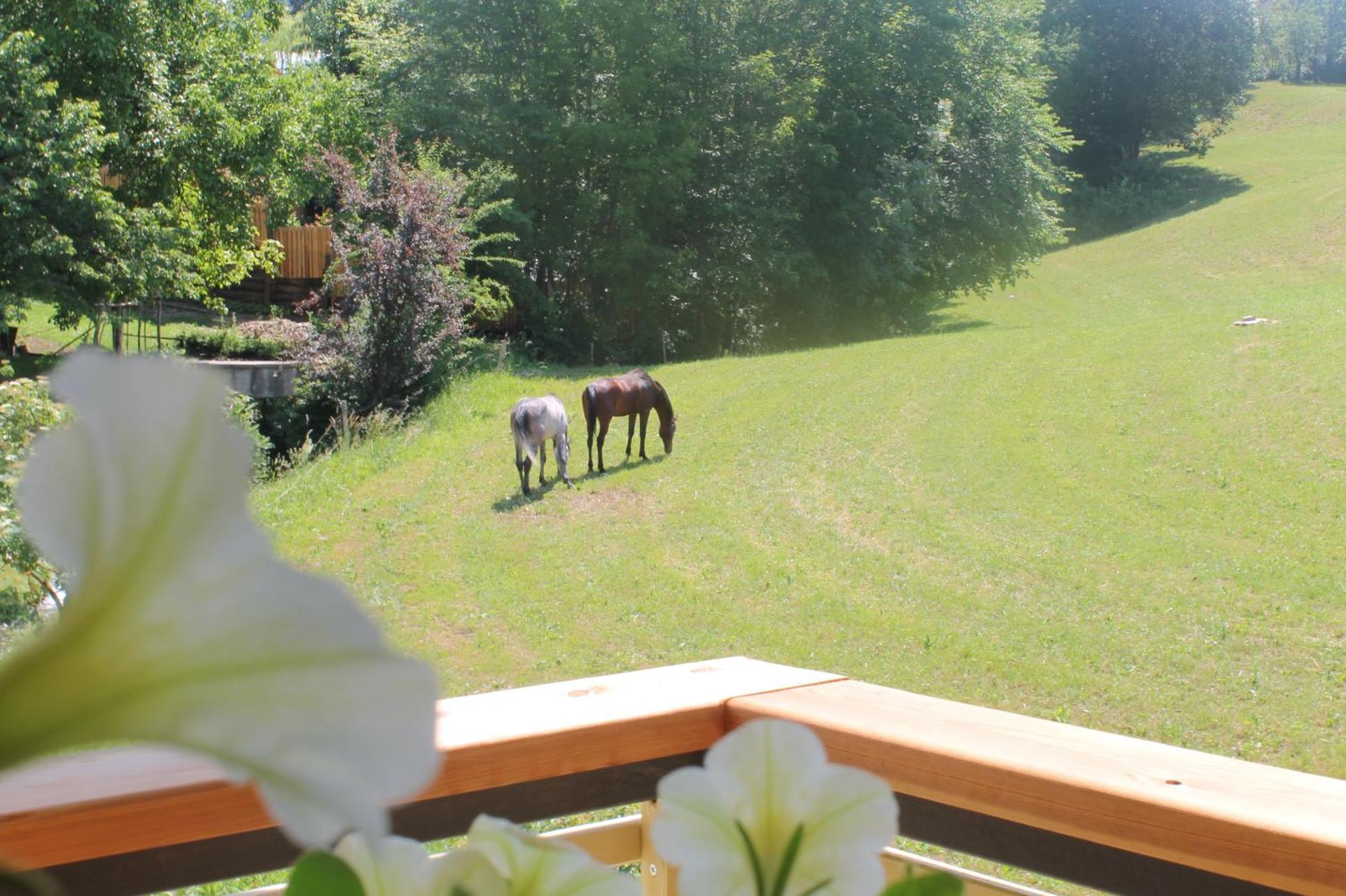 House Gabrijel With Four Seasons Outdoor Kitchen Villa เบลด ภายนอก รูปภาพ